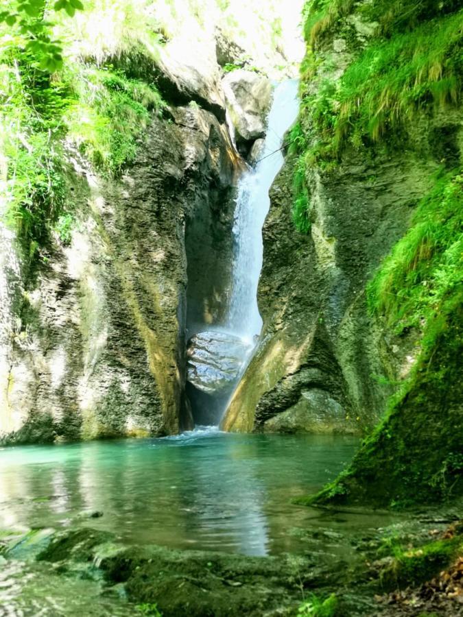 Апартаменты Lezegorria Урсайнки Экстерьер фото